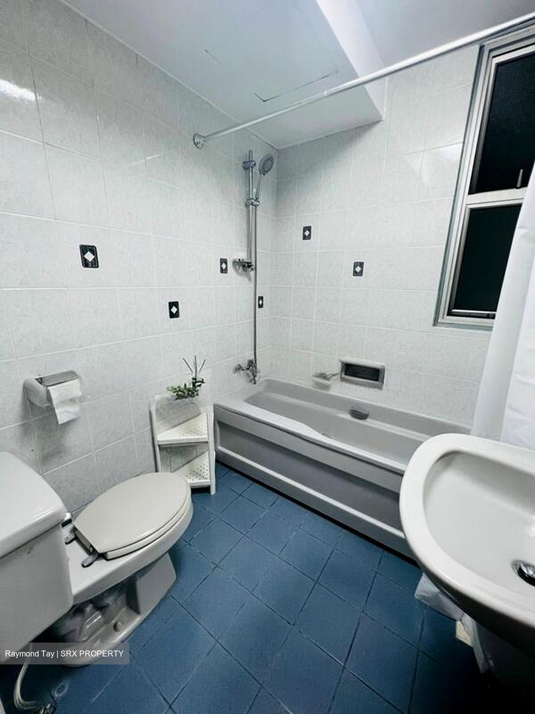Astor Green (D21), Condominium #508232761